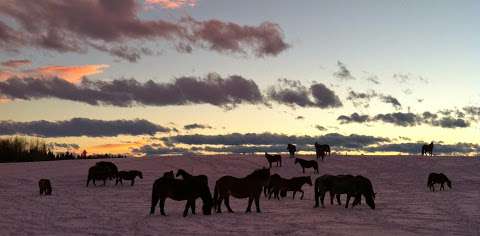 Red Lodge Guest Ranch